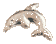 Дельфин